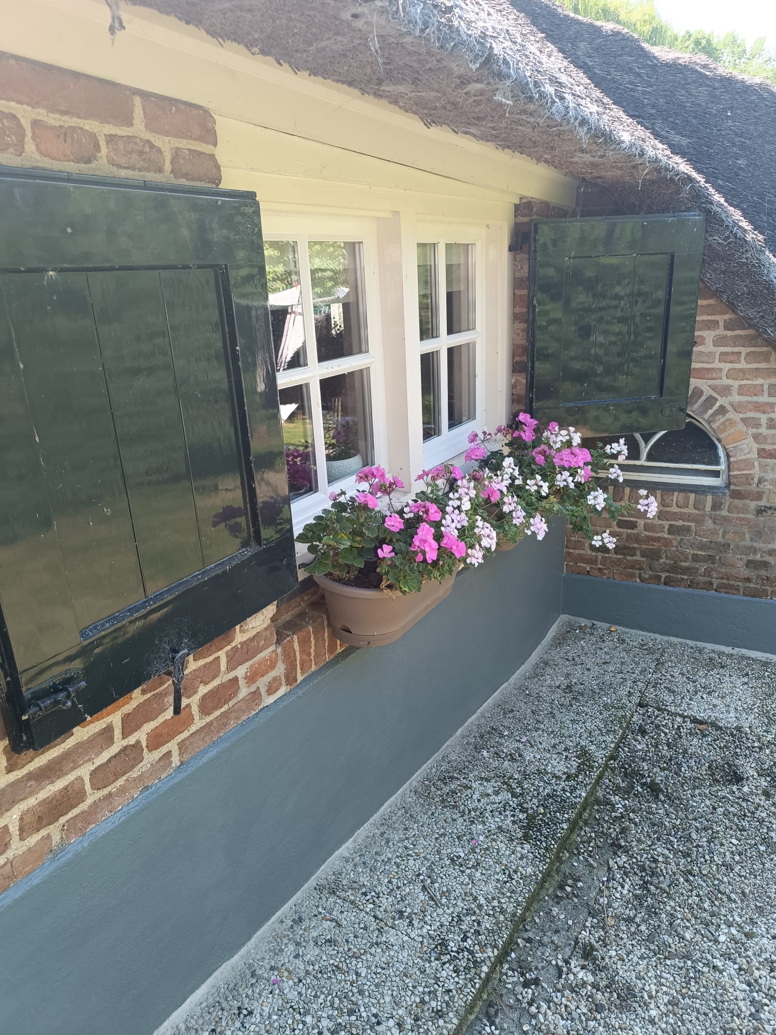 WhatsApp Image 2025-08-19 at 13.04.51